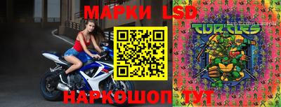 прущие грибы Шебекино