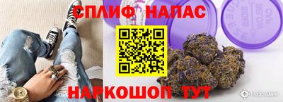 прущие грибы Шебекино