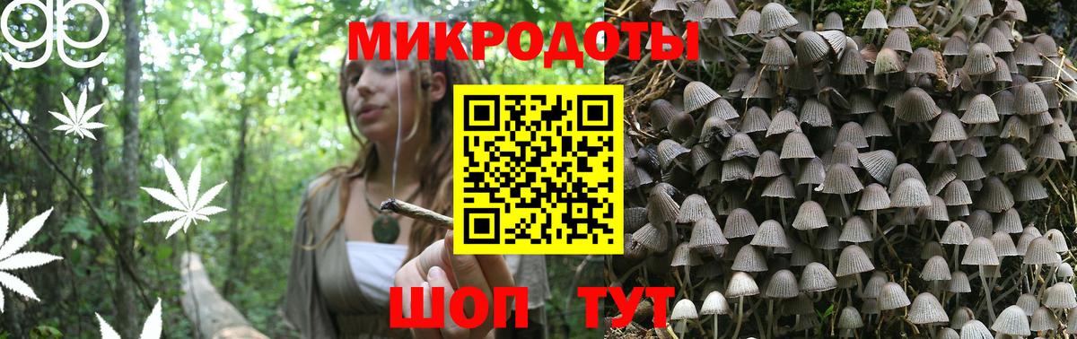 Галлюциногенные грибы ЛСД  Вход с VPN  Тамбов 