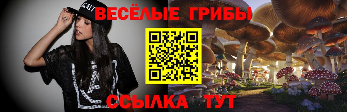 Псилоцибиновые грибы GOLDEN TEACHER Тамбов